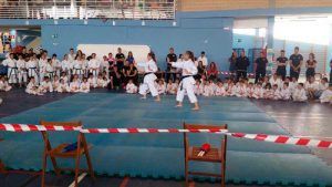 Campeonato Karate Nuevo Baztán