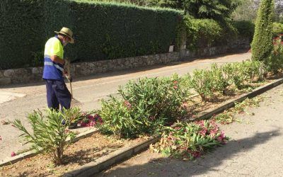 Trabajos de Jardinería en Monteacevedo