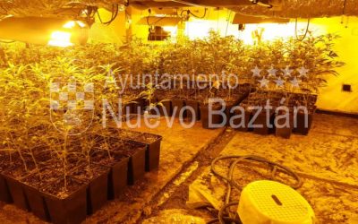 Desmantelado un punto de distribución de marihuana en Nuevo Baztán