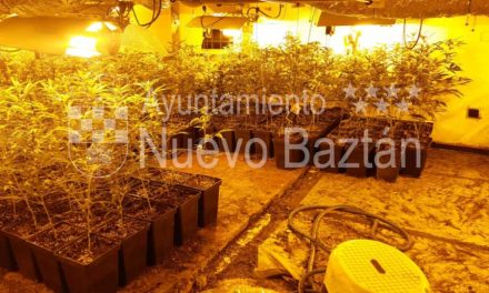 Desmantelado un punto de distribución de marihuana en Nuevo Baztán