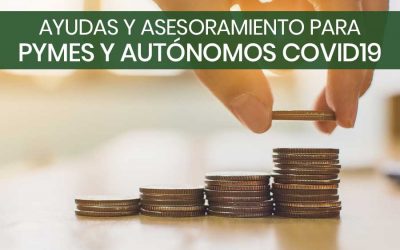 Nuevo servicio para empresas con domicilio social en Nuevo Baztán y empadronados