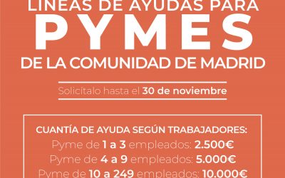 Línea de Ayudas para Pymes de la Comunidad de Madrid