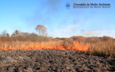 Quema de Poda controlada desde el 1 de Noviembre