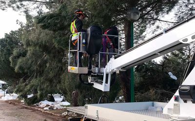 Continuamos trabajando en los destrozos causados por el temporal filomena