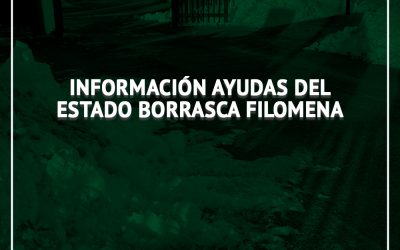 Información ayudas del Estado Borrasca Filomena