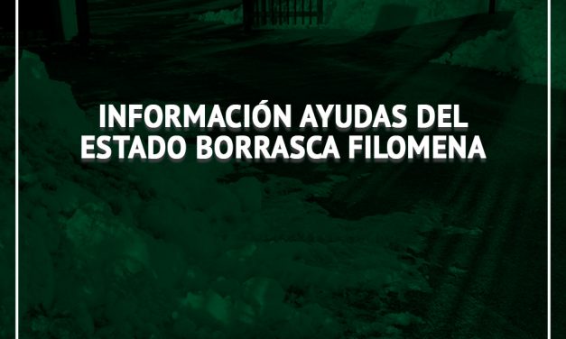 Información ayudas del Estado Borrasca Filomena