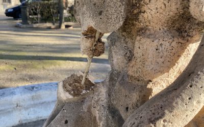Declaración Institucional sobre ataque Vandálico en Nuevo Baztán