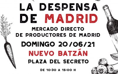 Comienzan las actividades de los “Veranos de Nuevo Baztán”