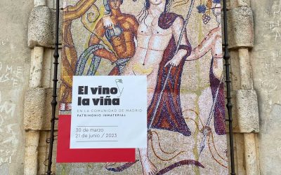 Exposición sobre la cultura del vino en el palacio de Goyeneche.