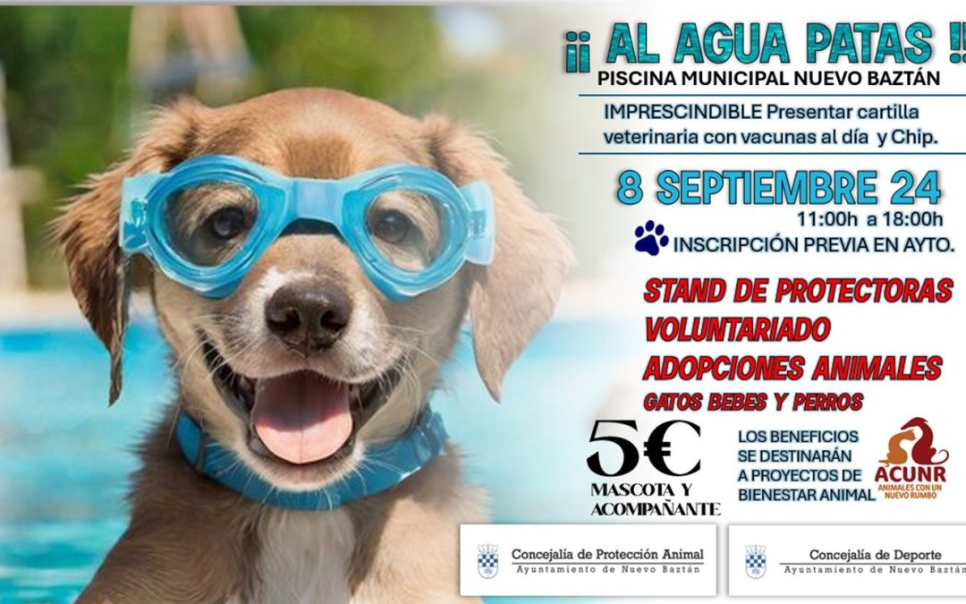Al Agua Patas 2024