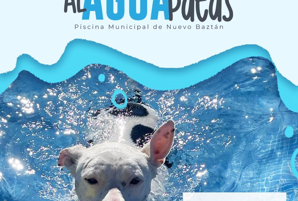 Al Agua Patas 2025