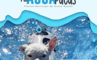 Al Agua Patas 2025