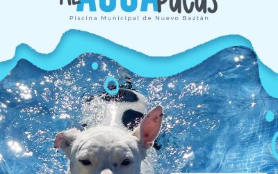 Llega un año más “Al Agua Patas”