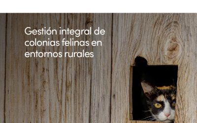 Nuevo Baztán participará en las I Jornadas CER Sobre la gestión de colonias Felinas